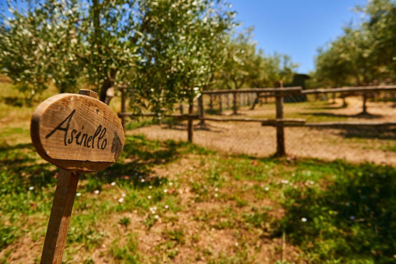 Casale Di Valle Villa Vinci Kültér fotó