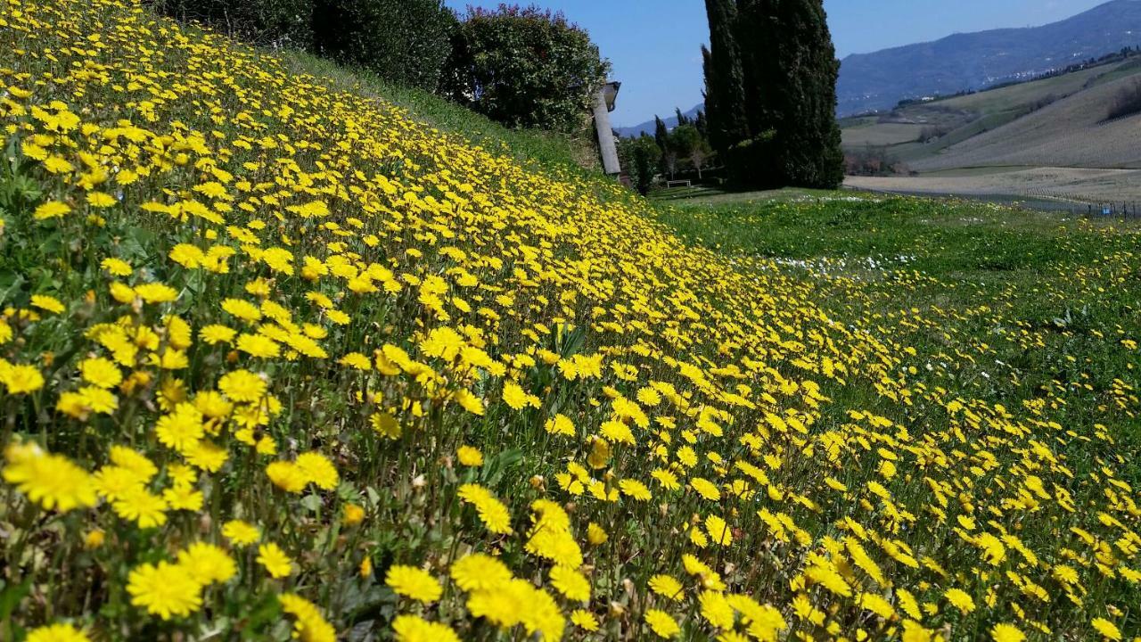 Casale Di Valle Villa Vinci Kültér fotó