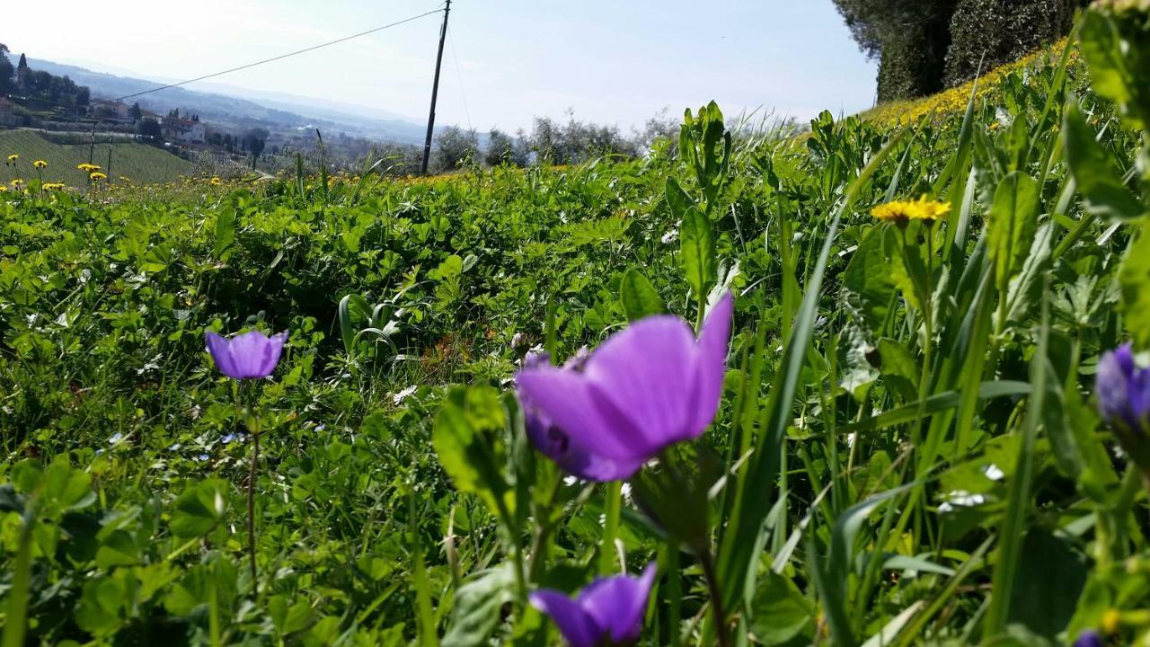 Casale Di Valle Villa Vinci Kültér fotó