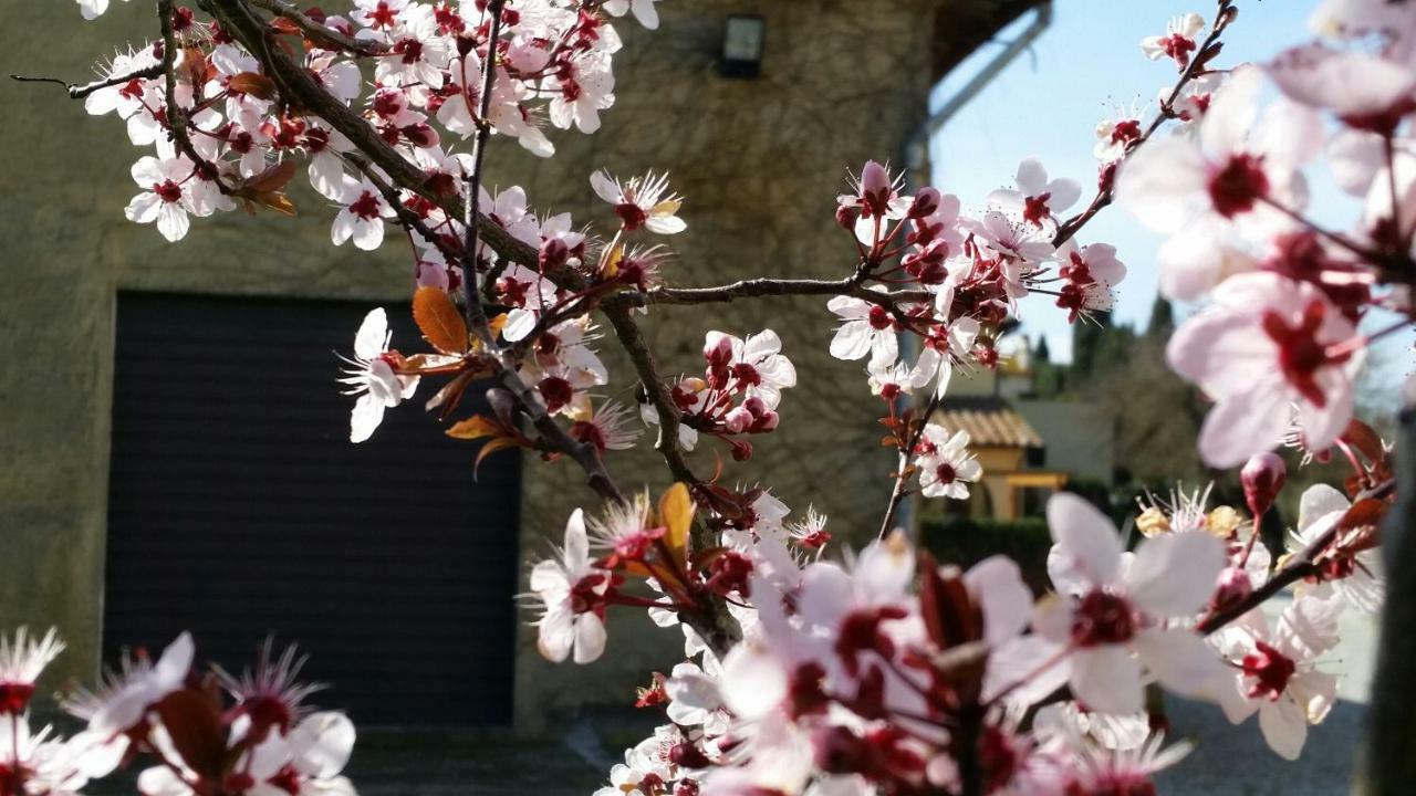 Casale Di Valle Villa Vinci Kültér fotó